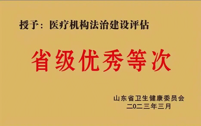 荣誉资质